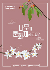 나무가 문화재라고요?